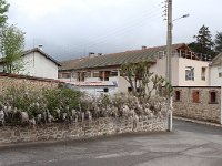 Petite escale à Noirétable. Les glycines ...